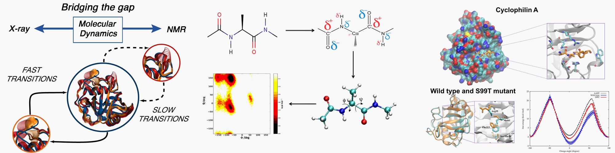 Atomistic description of conformational changes in proteins from pico to millisecond timescales
