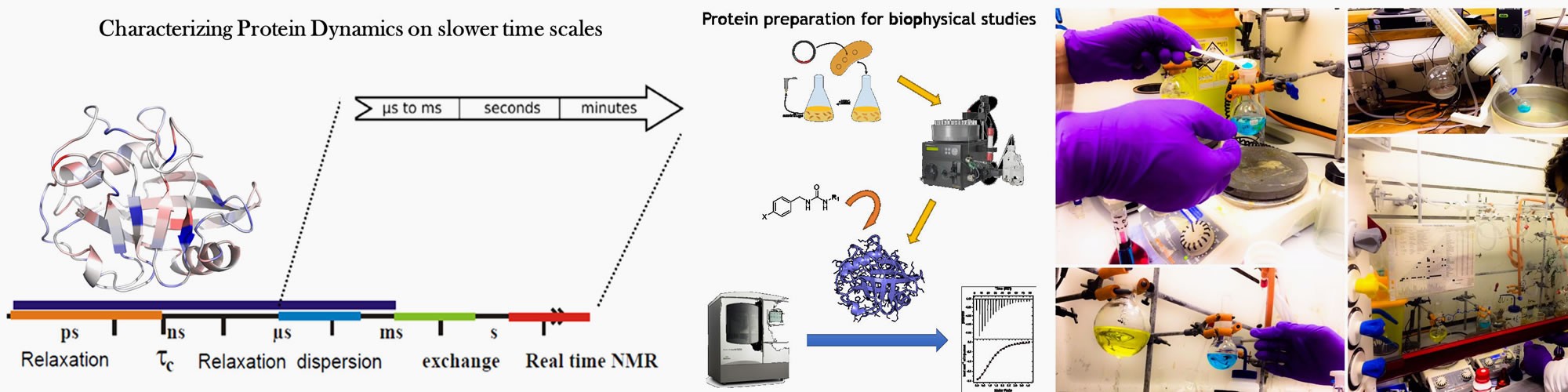 Rational ligand design by modulation of protein dynamics
